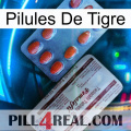 Tiger Pills 36